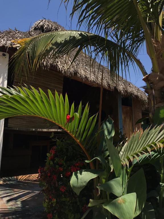 Condominio Agave Del Mar Coyuca de Benitez Exterior foto